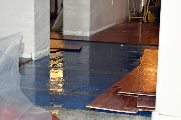 Professional Basement Flood Cleanup technician working in Stratford, CT